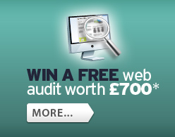 Win a FREE Web Audit